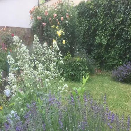 Quaint In With Terrace Ferienhaus Zeil am Main